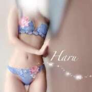 ヒメ日記 2025/06/28 09:02 投稿 はる 五反田人妻ヒットパレード（シンデレラグループ）