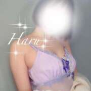 ヒメ日記 2025/06/29 09:01 投稿 はる 五反田人妻ヒットパレード（シンデレラグループ）