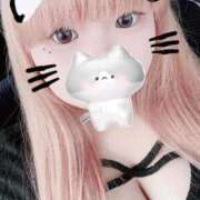 ヒメ日記 2025/10/15 16:17 投稿 いつき 群馬伊勢崎ちゃんこ