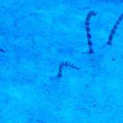 ヒメ日記 2025/08/30 22:11 投稿 ましろ パイセン