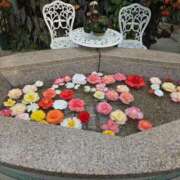 ヒメ日記 2025/12/07 20:16 投稿 ましろ パイセン