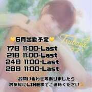 ヒメ日記 2025/05/28 23:05 投稿 つばさ-KINDAN- KINDAN-禁断-