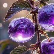 ヒメ日記 2025/05/24 21:42 投稿 ナミ セクシーキャット 小田原店