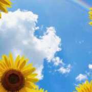 ヒメ日記 2025/07/11 07:01 投稿 ナミ セクシーキャット 小田原店