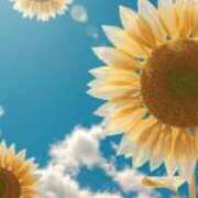 ヒメ日記 2025/07/20 22:15 投稿 ナミ セクシーキャット 小田原店