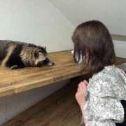 ヒメ日記 2025/05/19 07:35 投稿 雨宮りん コウテイ