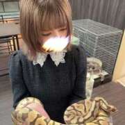 ヒメ日記 2025/05/27 22:55 投稿 雨宮りん コウテイ