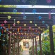 ヒメ日記 2025/07/04 16:45 投稿 雨宮りん コウテイ