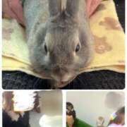 ヒメ日記 2025/07/06 18:05 投稿 雨宮りん コウテイ