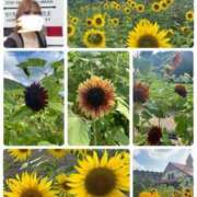 ヒメ日記 2025/07/17 14:21 投稿 雨宮りん コウテイ