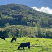 ヒメ日記 2025/10/13 16:45 投稿 雨宮りん コウテイ