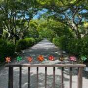 ヒメ日記 2025/10/13 20:55 投稿 雨宮りん コウテイ