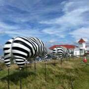 ヒメ日記 2025/10/13 23:05 投稿 雨宮りん コウテイ