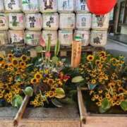 ヒメ日記 2025/10/25 16:50 投稿 雨宮りん コウテイ