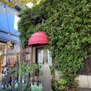 ヒメ日記 2025/11/09 20:25 投稿 雨宮りん コウテイ