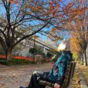 ヒメ日記 2025/11/29 14:47 投稿 雨宮りん コウテイ