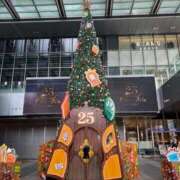 ヒメ日記 2025/12/02 18:35 投稿 雨宮りん コウテイ