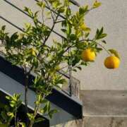 雨宮りん たわわ コウテイ