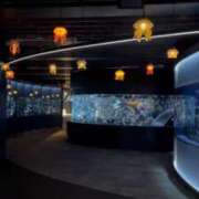 ヒメ日記 2026/01/20 11:35 投稿 雨宮りん コウテイ