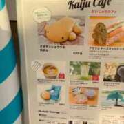 雨宮りん オオサンショウウオまん コウテイ