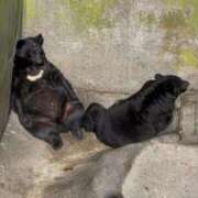 ヒメ日記 2026/02/28 20:33 投稿 雨宮りん コウテイ