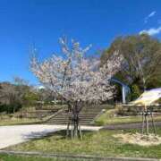 ヒメ日記 2026/04/04 08:12 投稿 雨宮りん コウテイ