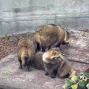 ヒメ日記 2026/04/06 09:16 投稿 雨宮りん コウテイ