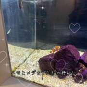 ヒメ日記 2026/04/06 12:10 投稿 雨宮りん コウテイ