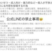 雨宮りん 雨宮りんの公式LINEアカウントが消えてしまったので、、 コウテイ