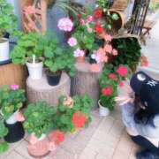 ヒメ日記 2025/07/23 17:26 投稿 ことり SAPPORO ばつぐんnet