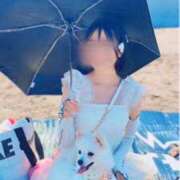 ヒメ日記 2025/08/17 16:18 投稿 ことり SAPPORO ばつぐんnet