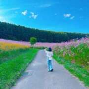 ヒメ日記 2025/09/14 17:06 投稿 ことり SAPPORO ばつぐんnet