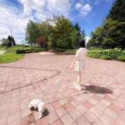 ヒメ日記 2025/09/26 18:46 投稿 ことり SAPPORO ばつぐんnet