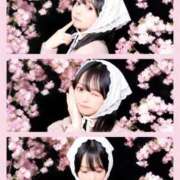 ことり おはよう🩵 SAPPORO ばつぐんnet