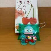 ヒメ日記 2025/07/12 19:50 投稿 ここあ 奥様特急新潟店