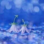 ヒメ日記 2025/07/11 21:16 投稿 ふわり 吉原ファーストレディ