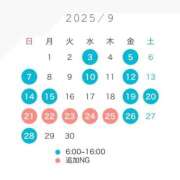 ヒメ日記 2025/08/31 13:42 投稿 れおな マリン千姫