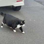 れおな お願いします❤️ マリン千姫