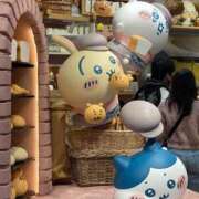 ヒメ日記 2025/12/19 10:26 投稿 あんず Versailles