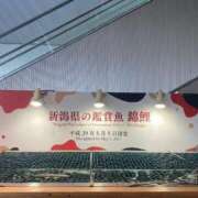 ヒメ日記 2026/03/13 22:01 投稿 あんず Versailles