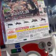 ヒメ日記 2026/04/25 10:52 投稿 あんず Versailles