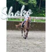 ヒメ日記 2025/06/14 11:45 投稿 しょうこ 東京リップ 秋葉原店