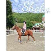 ヒメ日記 2025/11/15 08:02 投稿 しょうこ 東京リップ 秋葉原店