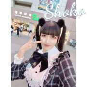 ヒメ日記 2025/12/12 12:17 投稿 しょうこ 東京リップ 秋葉原店