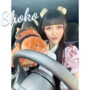 ヒメ日記 2025/08/20 07:45 投稿 しょうこ 東京リップ 上野店