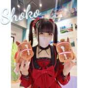 ヒメ日記 2025/11/14 12:52 投稿 しょうこ 東京リップ 上野店