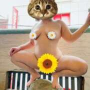 ヒメ日記 2025/05/25 16:06 投稿 おもち 埼玉熊谷ちゃんこ