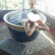 ヒメ日記 2025/08/15 09:21 投稿 なの 熟女の風俗最終章 沼津店