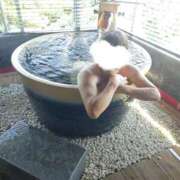 ヒメ日記 2025/08/30 08:52 投稿 なの 熟女の風俗最終章 沼津店