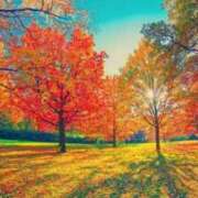 なの 久しぶりに出勤します！ 熟女の風俗最終章 沼津店